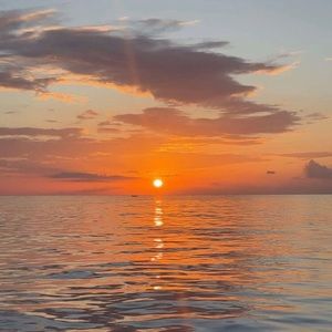 Meet your Posher, Elena